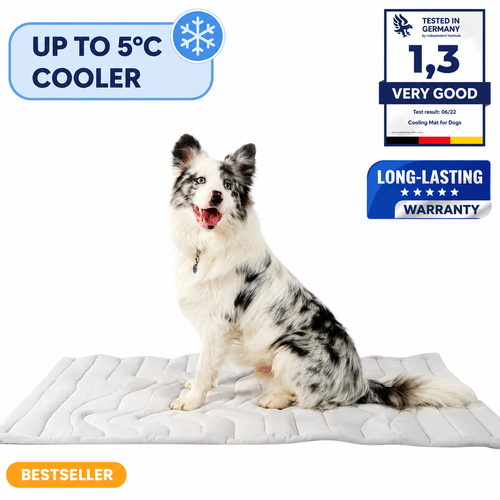 PrimeChill™ – The Innovative Cooling Mat for Dogs