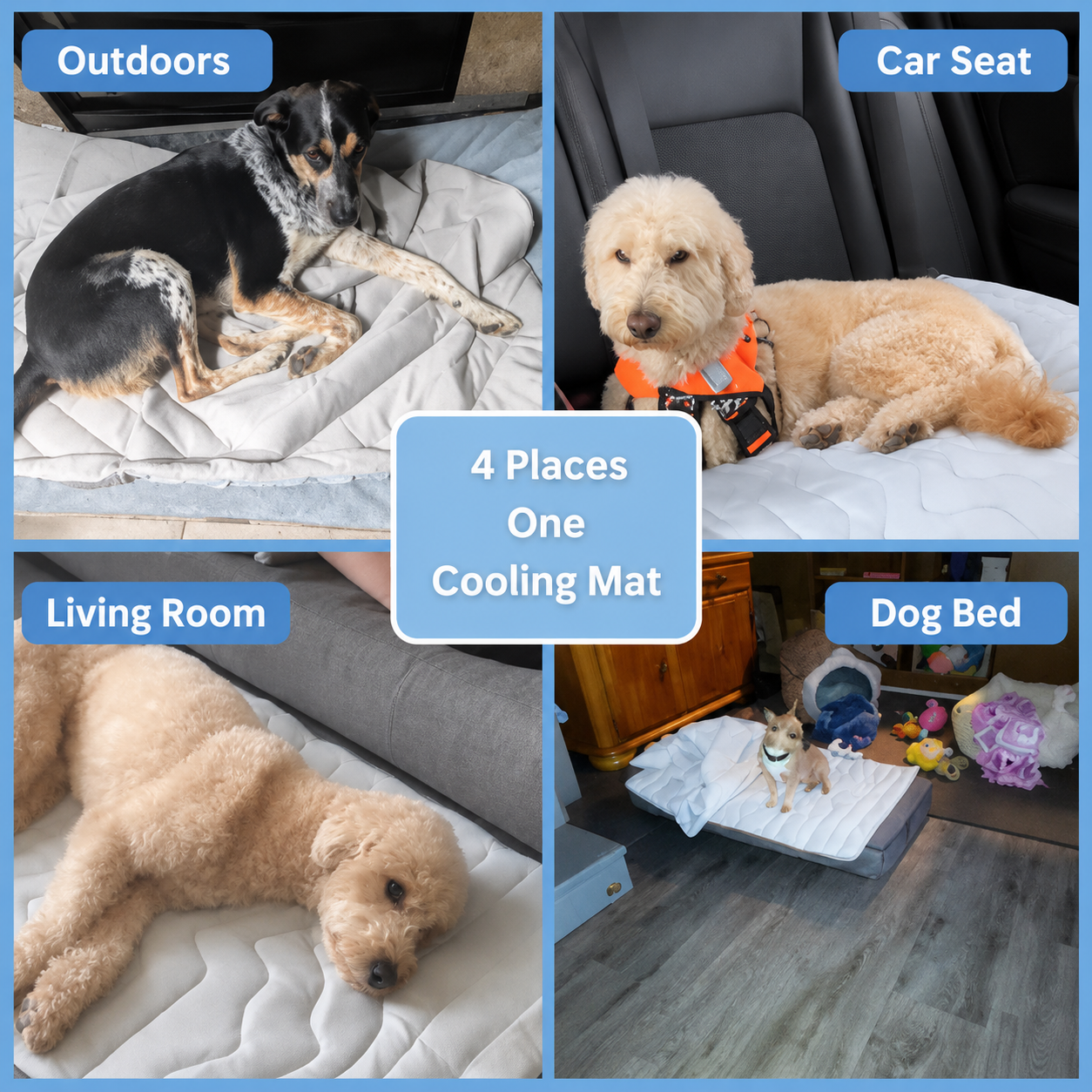 PrimeChill™ – The Innovative Cooling Mat for Dogs