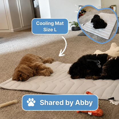 PrimeChill™ – The Innovative Cooling Mat for Dogs