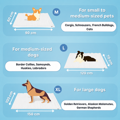 PrimeChill™ – The Innovative Cooling Mat for Dogs