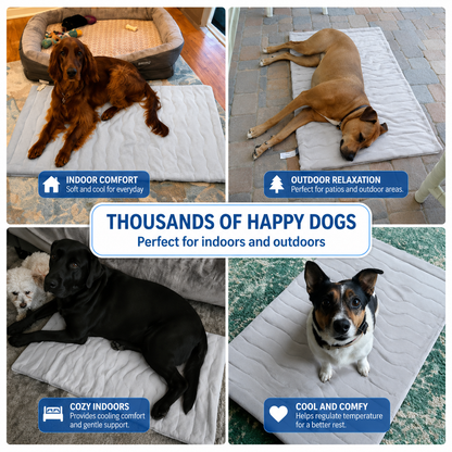 PrimeChill™ – The Innovative Cooling Mat for Dogs